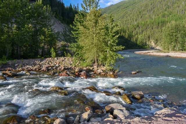 mountain stream