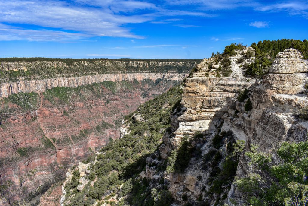 the Grand Canyon seen from the north rim at Grand Canyon national park