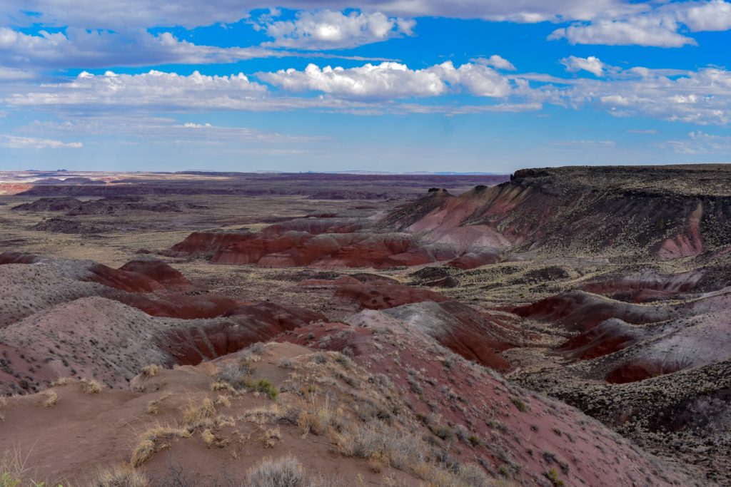 eroded Badland landscape at Petrified Forest National Park