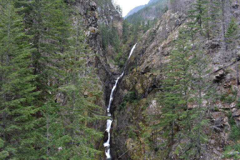 narrow waterfall running down alpine covered mountain