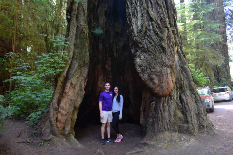 couple standing inside massive redwood tree that was struck by lightning