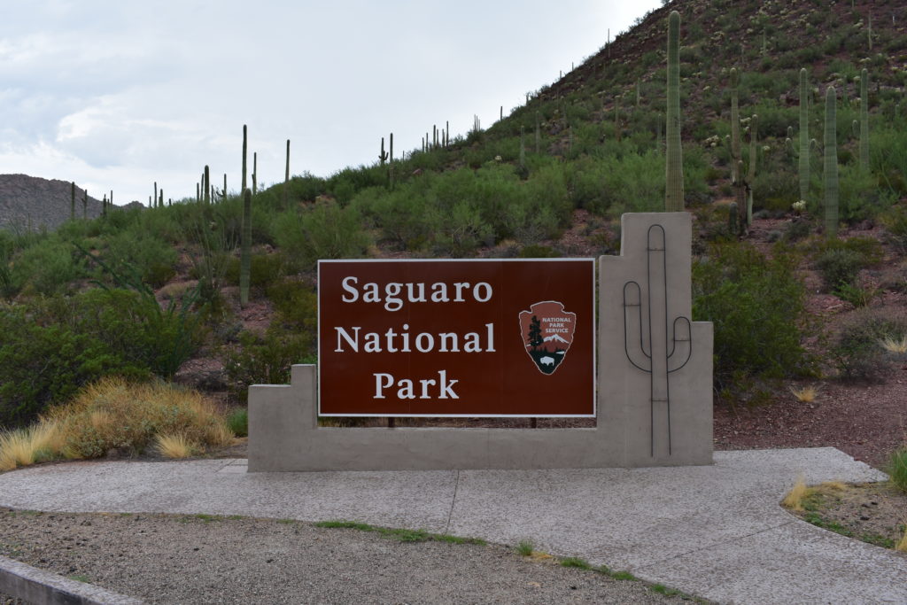 Saguaro National Park