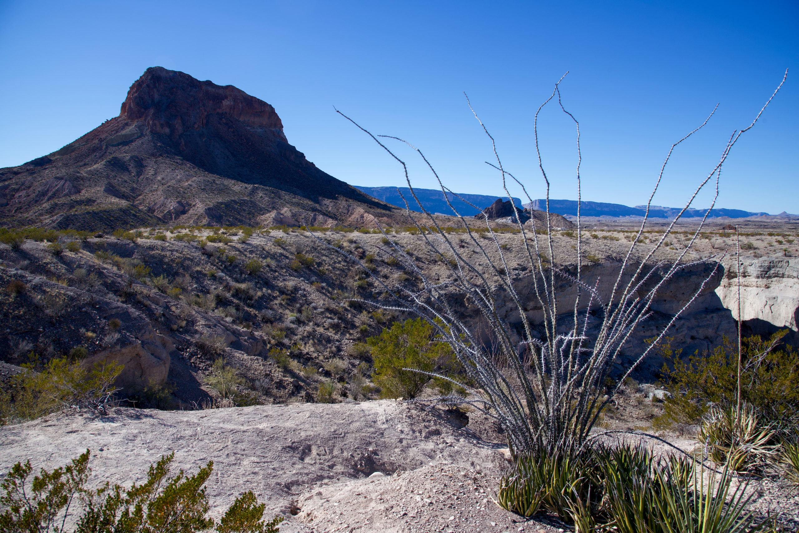 Read more about the article Big Bend National Park