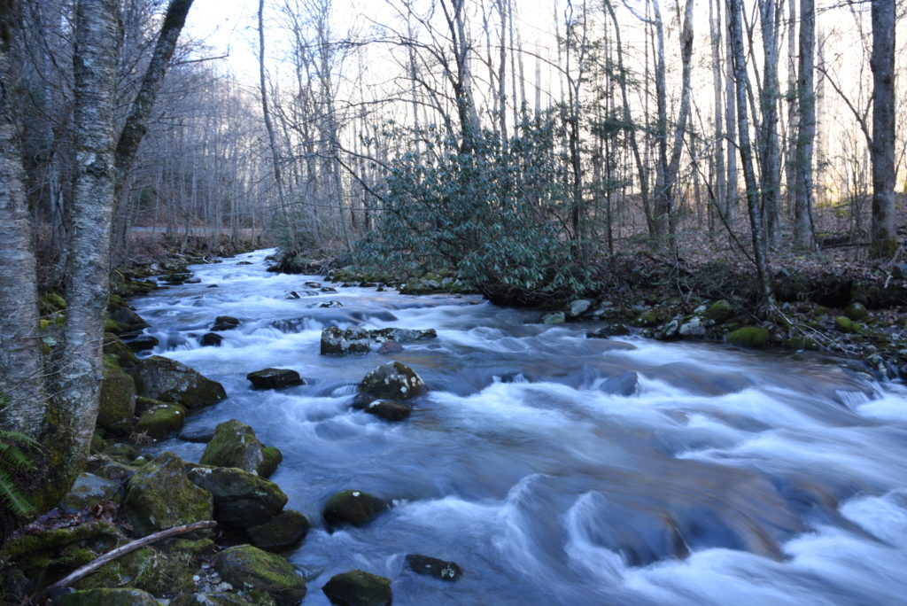 River rushing through the Great Smoky Mountains
