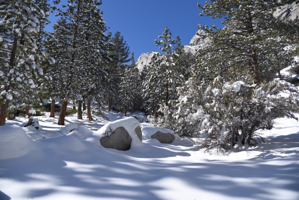 Snow Covering Mount Whitney Portal