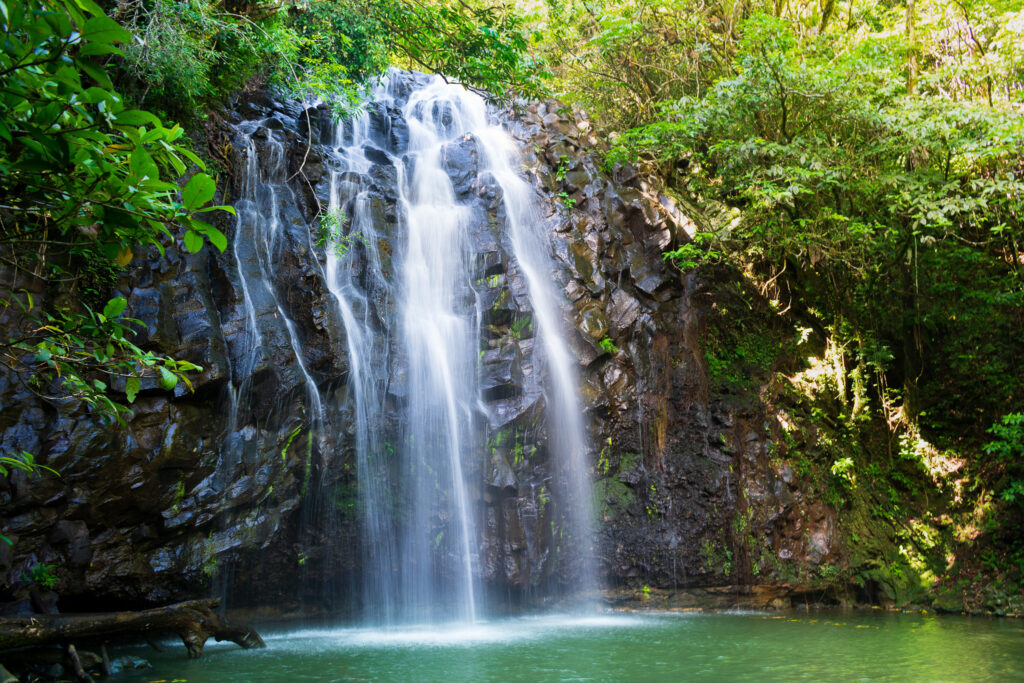 Waterfall in Cairns Australia